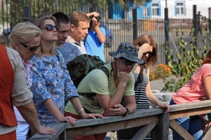 Замок Радомысль